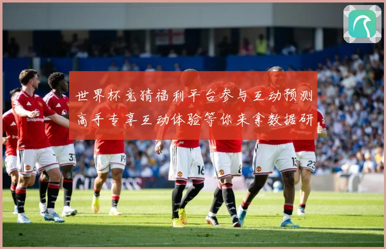 世界杯竞猜福利平台参与互动预测高手专享互动体验等你来拿数据研判-深度解析